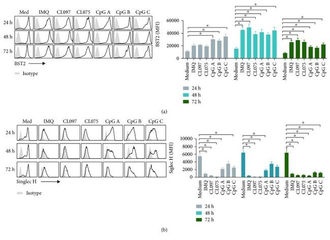 SIGLEC H Antibody in Flow Cytometry (Flow)