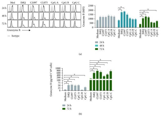 Granzyme B Antibody in Flow Cytometry (Flow)