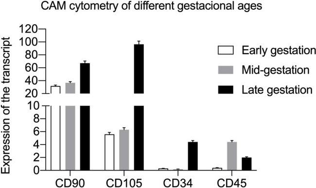 CD45 Antibody in Flow Cytometry (Flow)