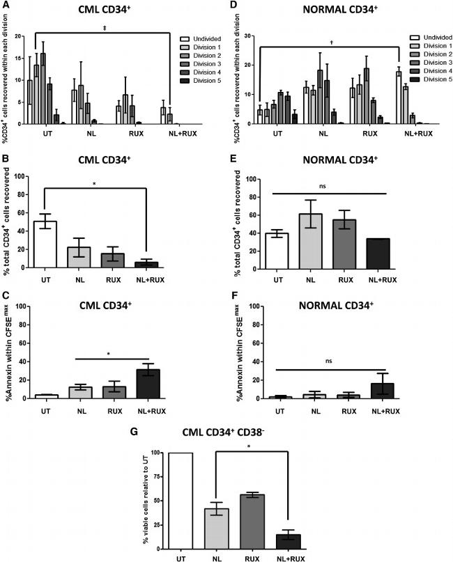 CD34 Antibody in Flow Cytometry (Flow)