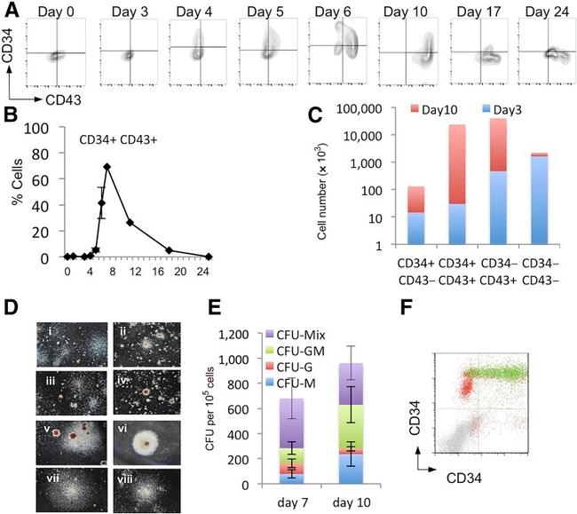 CD43 Antibody in Flow Cytometry (Flow)