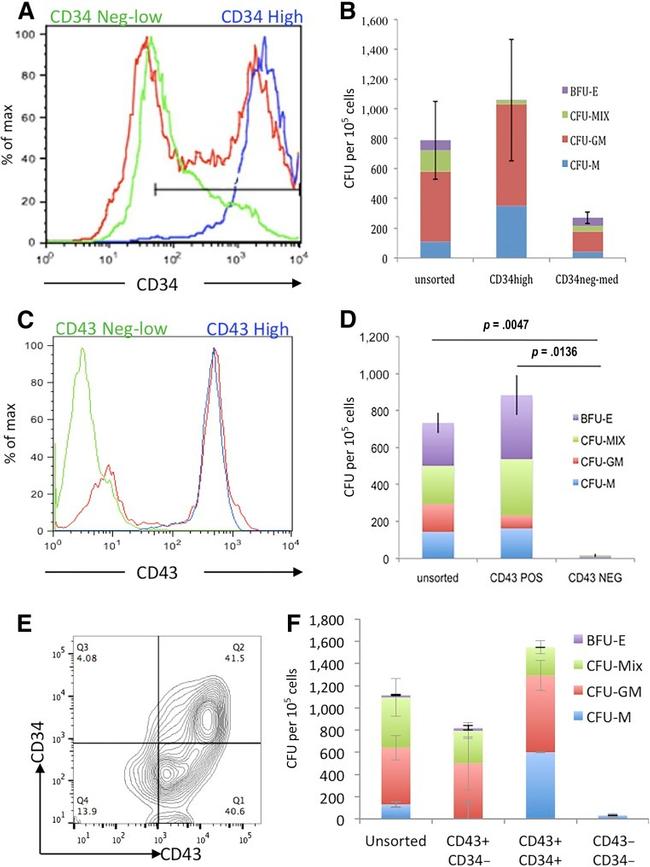 CD34 Antibody in Flow Cytometry (Flow)