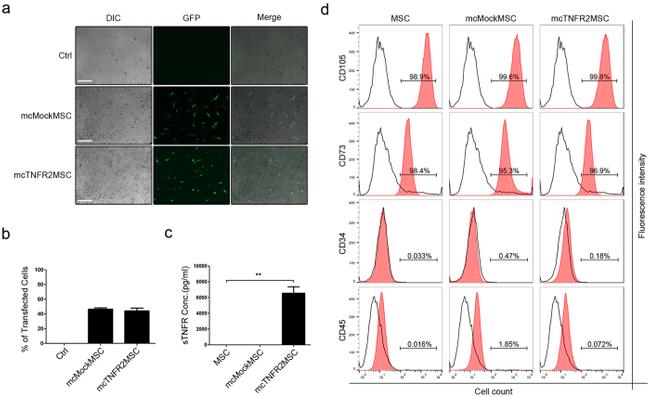 CD34 Antibody in Flow Cytometry (Flow)