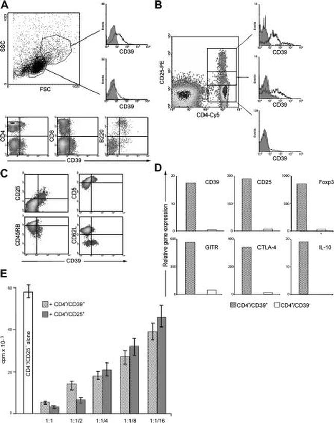 CD39 Antibody in Flow Cytometry (Flow)