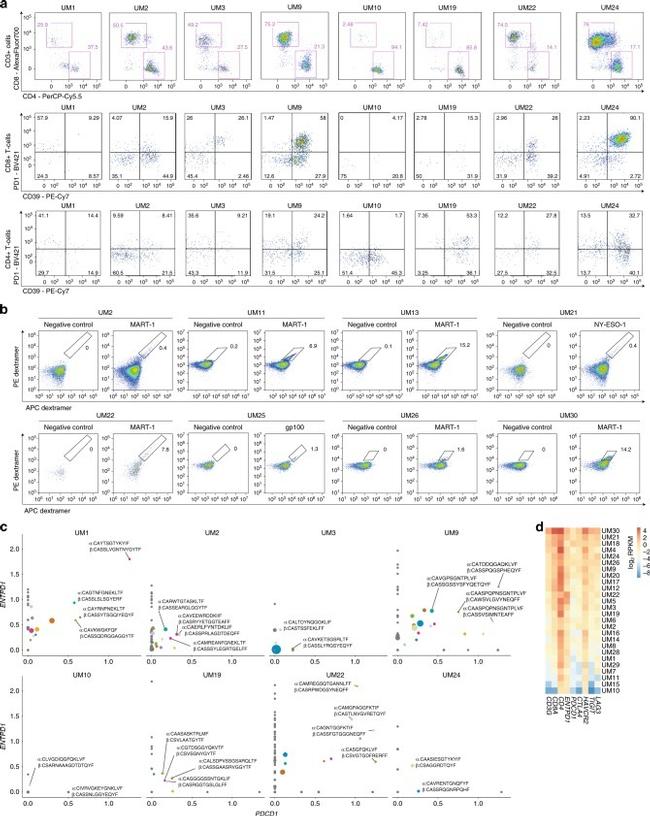 CD39 Antibody in Flow Cytometry (Flow)