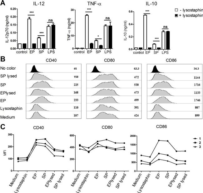 CD40 Antibody in Flow Cytometry (Flow)