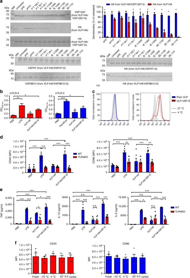 CD40 Antibody in Flow Cytometry (Flow)