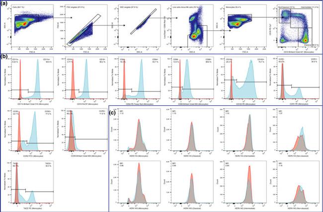 CD40 Antibody in Flow Cytometry (Flow)