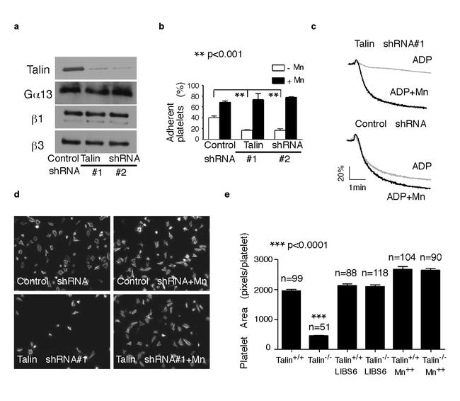 CD41a Antibody in Flow Cytometry (Flow)