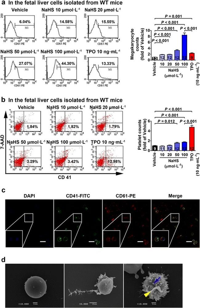 CD41a Antibody in Flow Cytometry (Flow)