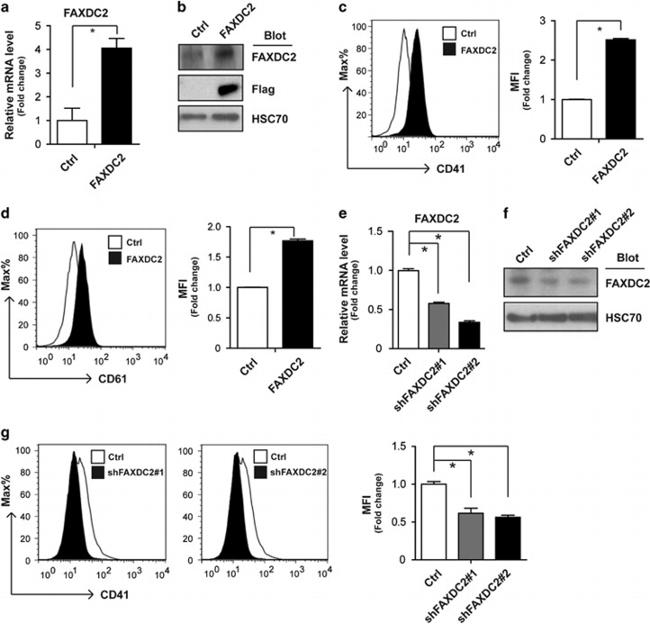 CD41a Antibody in Flow Cytometry (Flow)