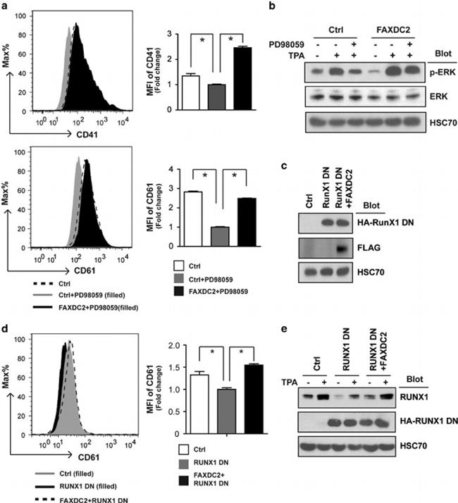 CD41a Antibody in Flow Cytometry (Flow)