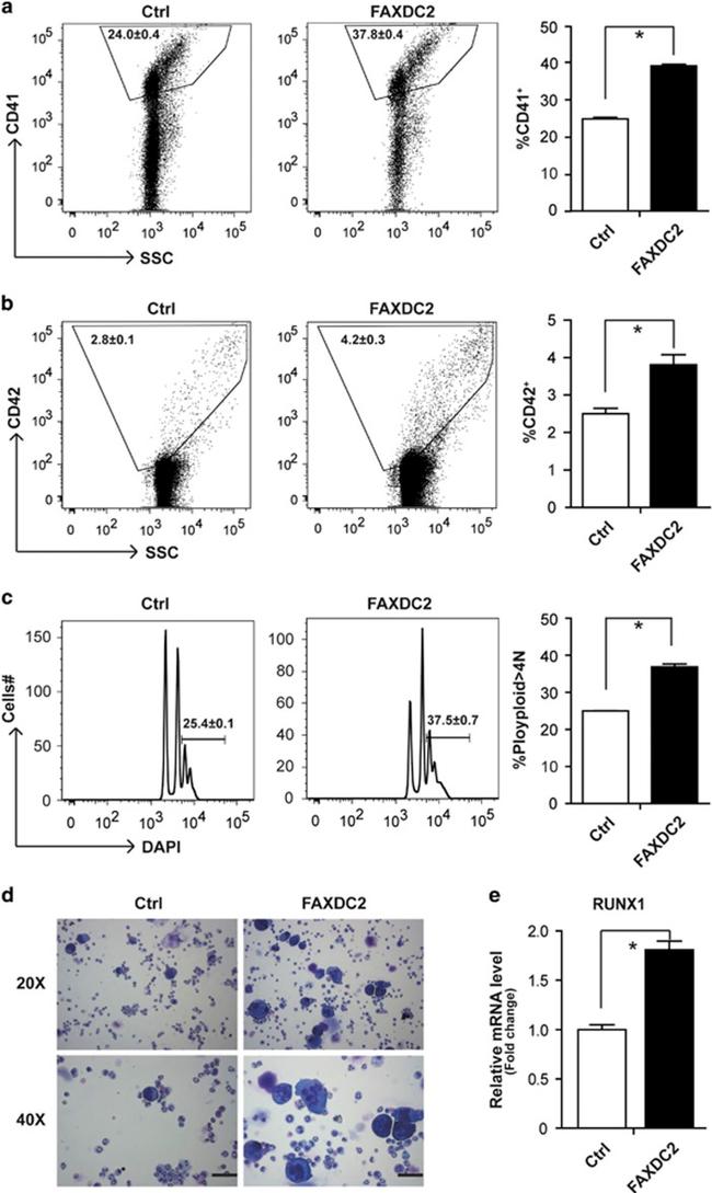 CD41a Antibody in Flow Cytometry (Flow)