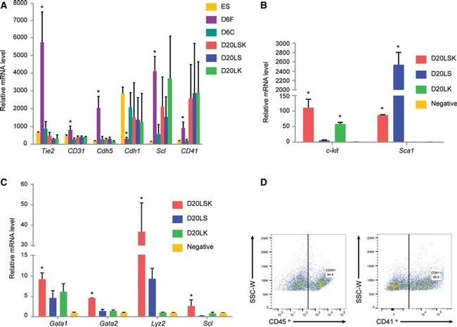 CD41a Antibody in Flow Cytometry (Flow)