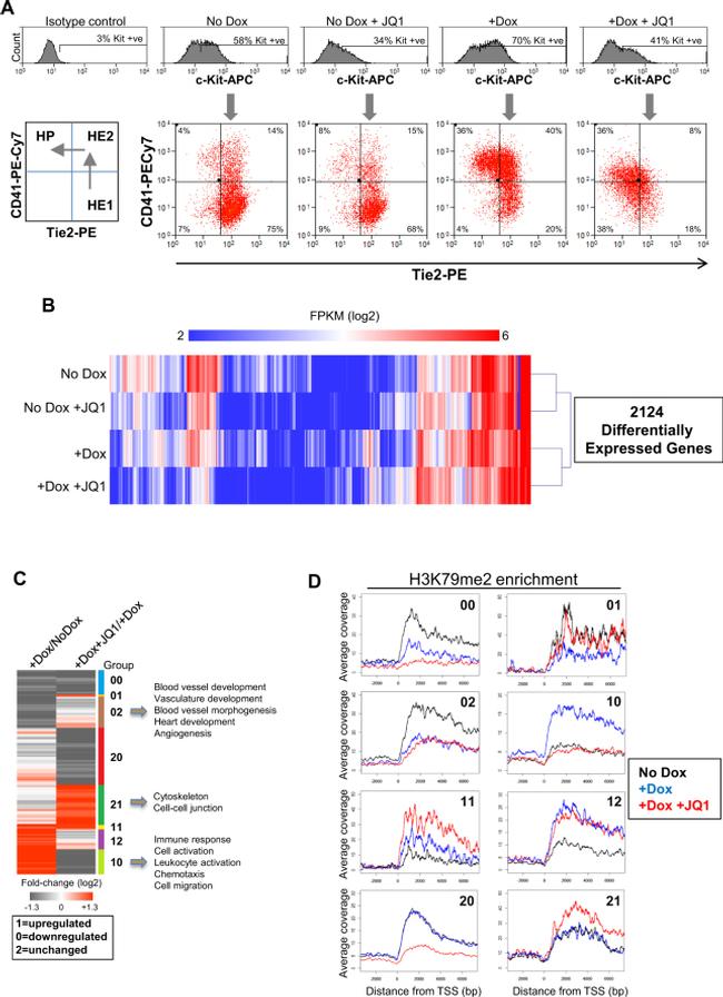 CD41a Antibody in Flow Cytometry (Flow)