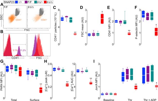 CD41a Antibody in Flow Cytometry (Flow)