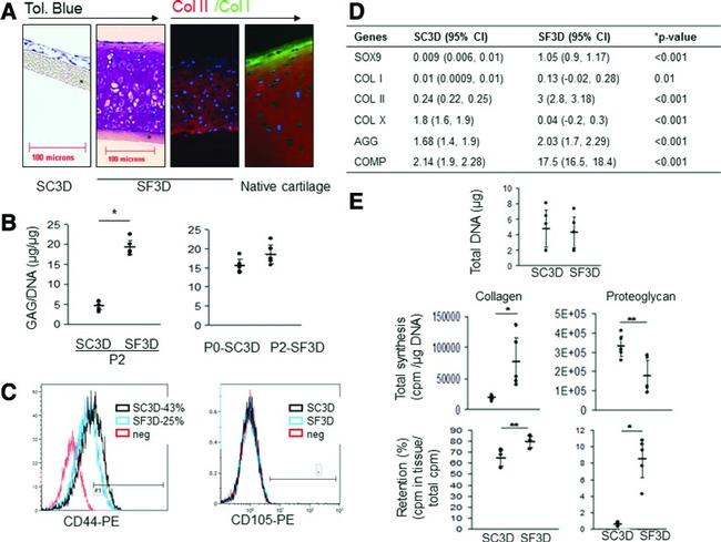 CD105 (Endoglin) Antibody in Flow Cytometry (Flow)