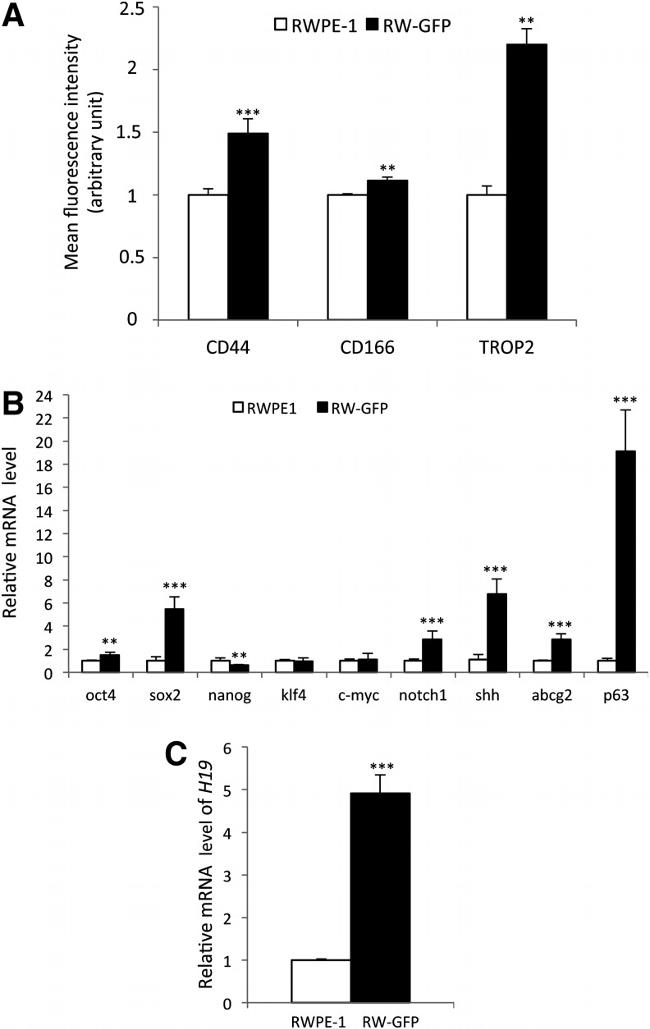 Trop2 (EGP-1) Antibody in Flow Cytometry (Flow)