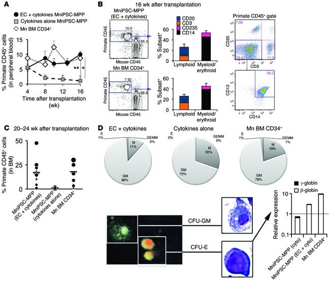 CD45 Antibody in Flow Cytometry (Flow)