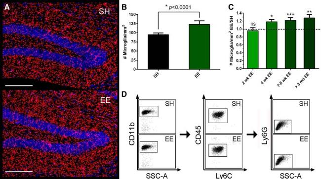 Ly-6C Antibody in Flow Cytometry (Flow)