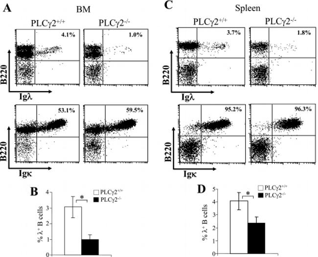 CD45R (B220) Antibody in Flow Cytometry (Flow)