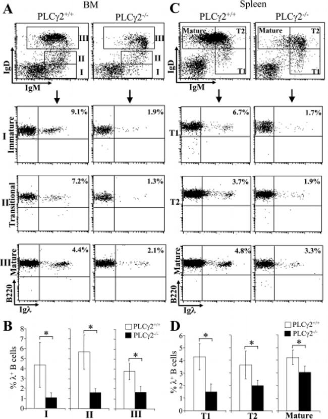 CD45R (B220) Antibody in Flow Cytometry (Flow)