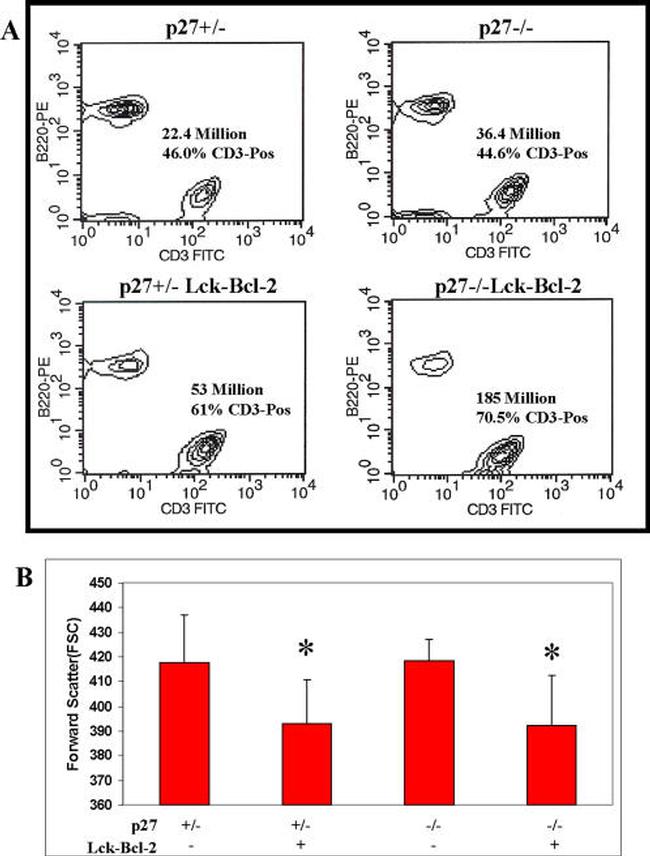 CD45R (B220) Antibody in Flow Cytometry (Flow)