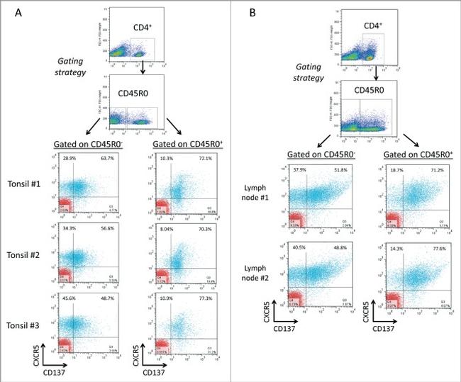 CD45RO Antibody in Flow Cytometry (Flow)