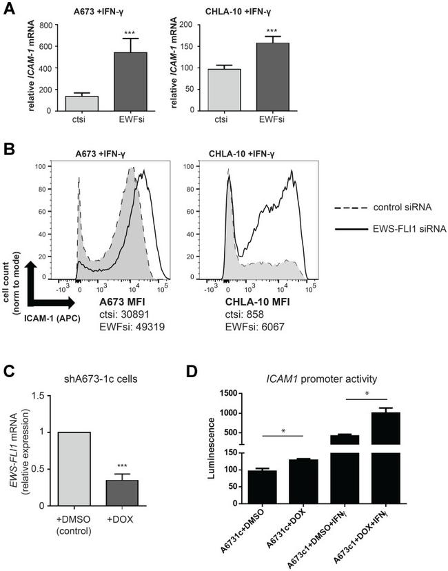 CD54 (ICAM-1) Antibody in Flow Cytometry (Flow)