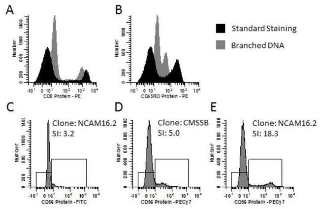 CD56 (NCAM) Antibody in Flow Cytometry (Flow)