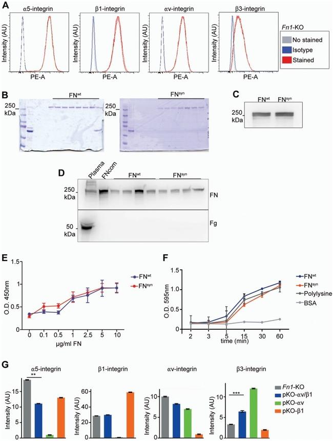 CD61 (Integrin beta 3) Antibody in Flow Cytometry (Flow)