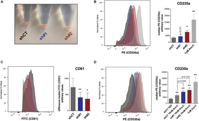 CD235a (Glycophorin A) Antibody in Flow Cytometry (Flow)