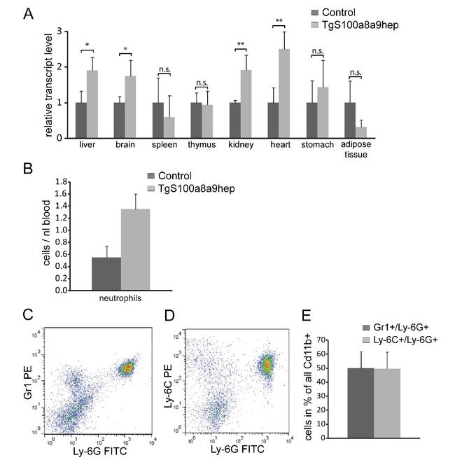 Ly-6G/Ly-6C Antibody in Flow Cytometry (Flow)