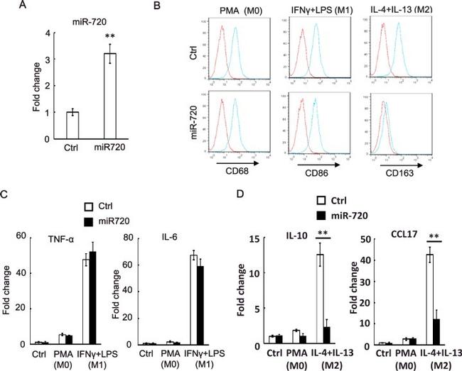 CD68 Antibody in Flow Cytometry (Flow)