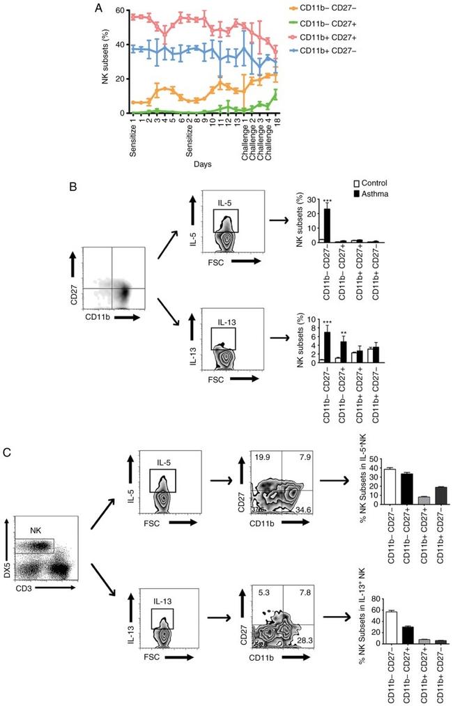 IL-13 Antibody in Flow Cytometry (Flow)