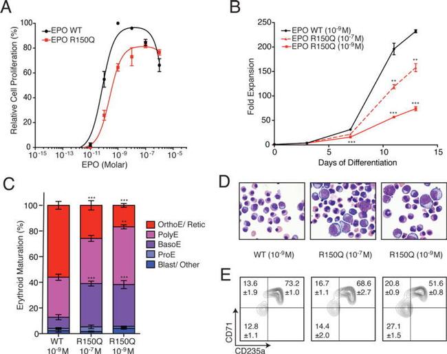 CD71 (Transferrin Receptor) Antibody in Flow Cytometry (Flow)