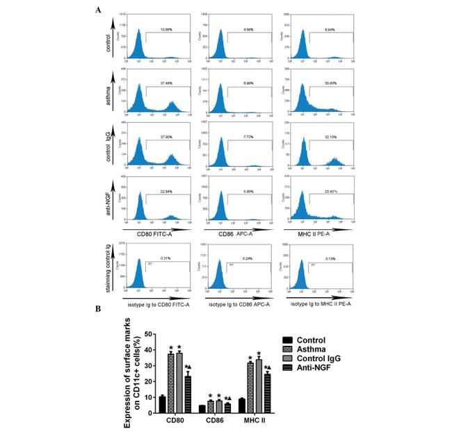 CD80 (B7-1) Antibody in Flow Cytometry (Flow)