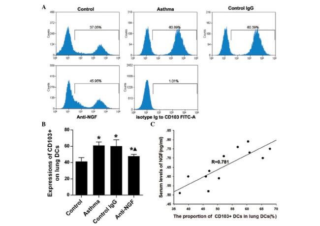 CD103 (Integrin alpha E) Antibody in Flow Cytometry (Flow)