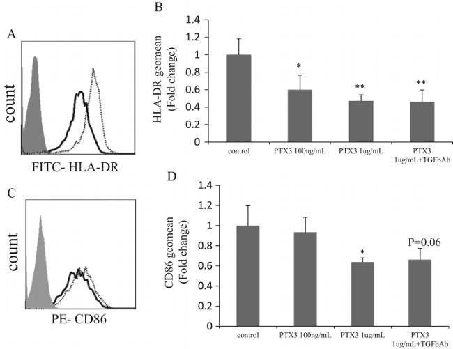 CD86 (B7-2) Antibody in Flow Cytometry (Flow)