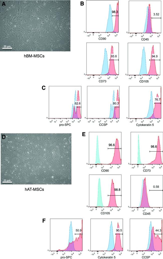 CD45 Antibody in Flow Cytometry (Flow)