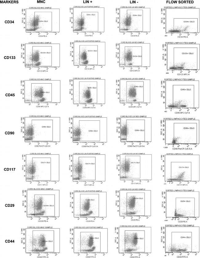 CD117 (c-Kit) Antibody in Flow Cytometry (Flow)