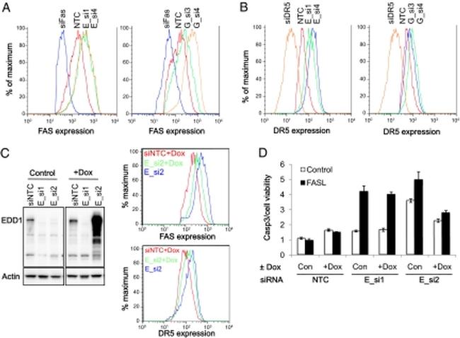 CD262 (DR5) Antibody in Flow Cytometry (Flow)