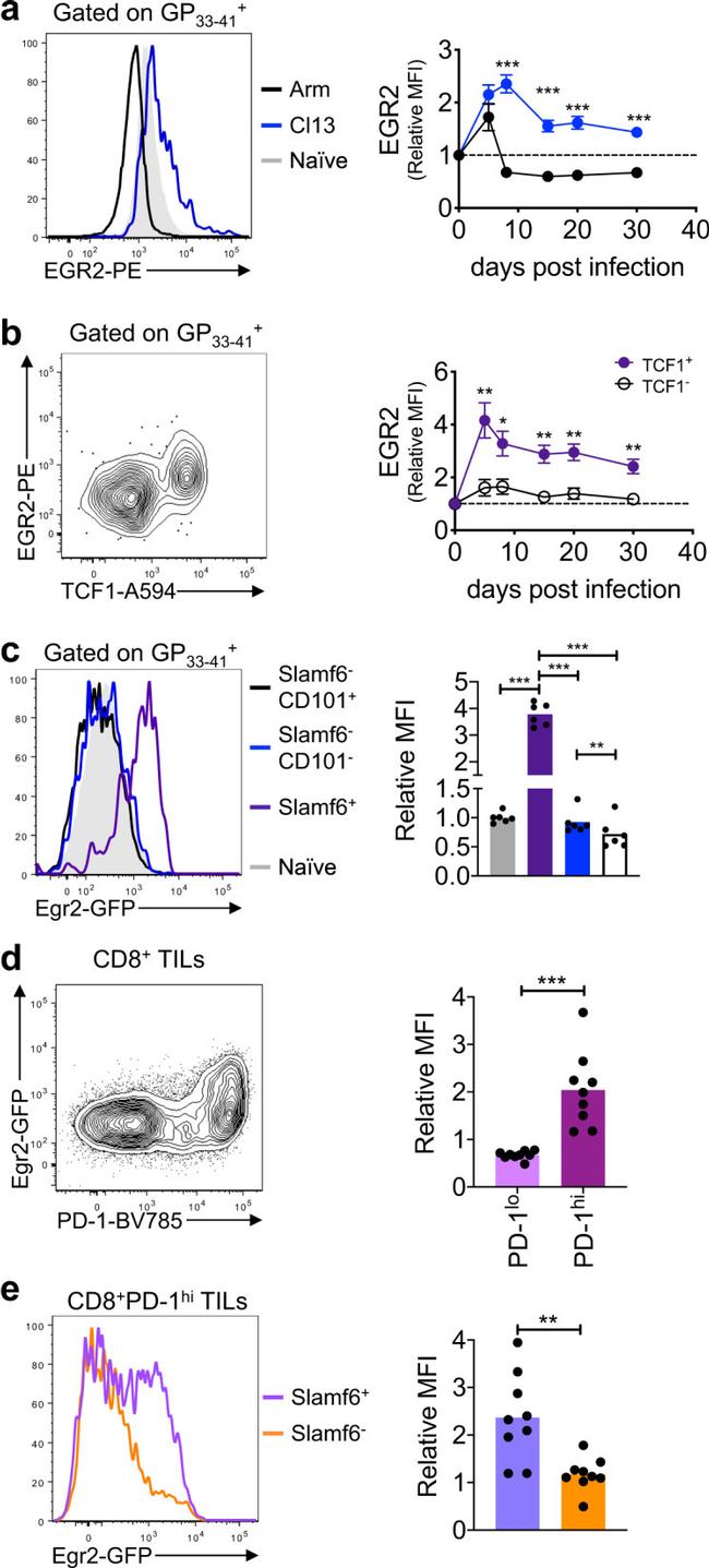 CD101 Antibody in Flow Cytometry (Flow)