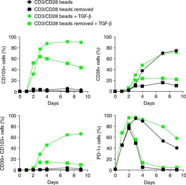 CD103 (Integrin alpha E) Antibody in Flow Cytometry (Flow)