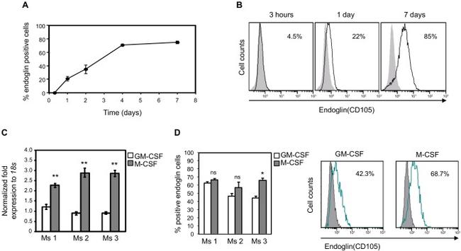 CD105 (Endoglin) Antibody in Flow Cytometry (Flow)