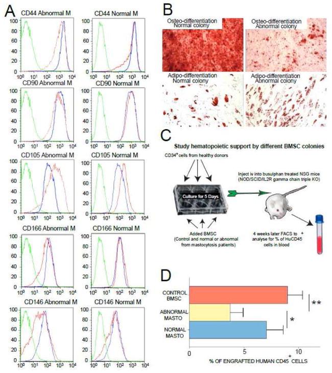 CD105 (Endoglin) Antibody in Flow Cytometry (Flow)