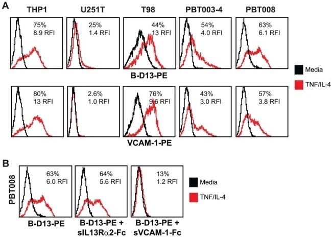 CD106 (VCAM-1) Antibody in Flow Cytometry (Flow)