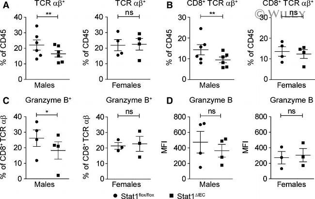 TCR beta Antibody in Flow Cytometry (Flow)