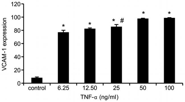 CD106 (VCAM-1) Antibody in Flow Cytometry (Flow)