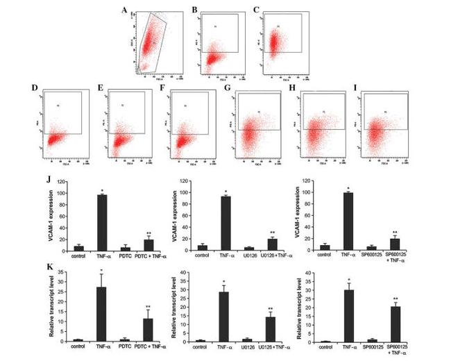 CD106 (VCAM-1) Antibody in Flow Cytometry (Flow)